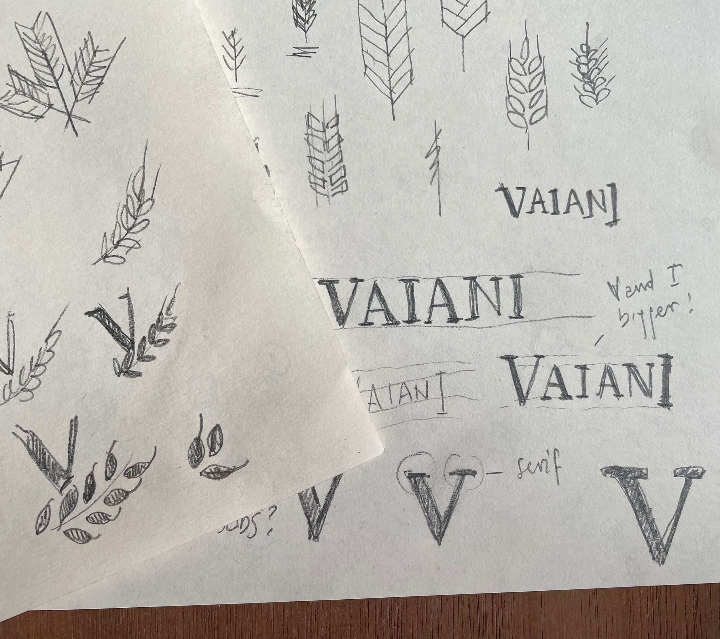 Vaiani-logo-design