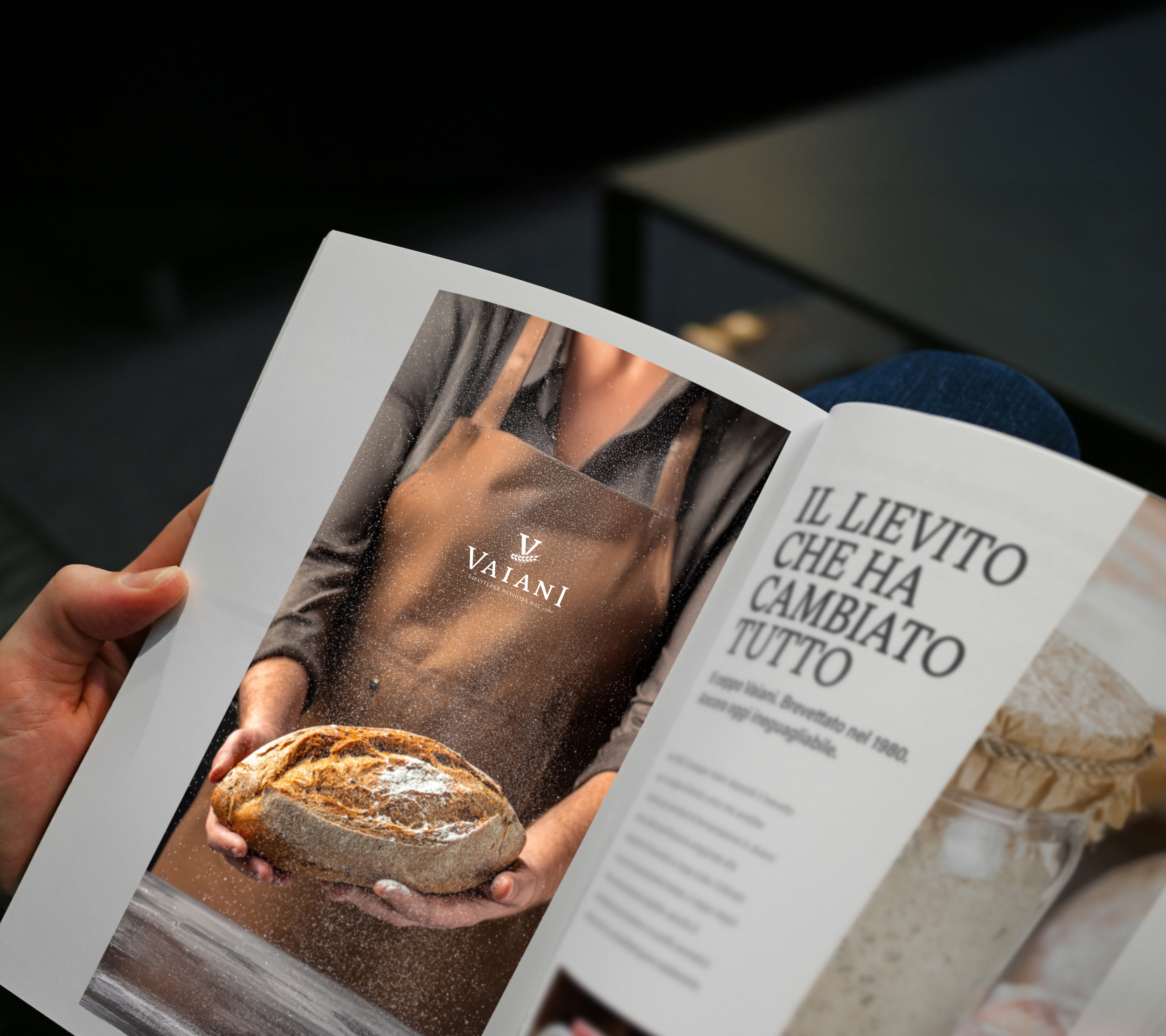 vaiani-brochure