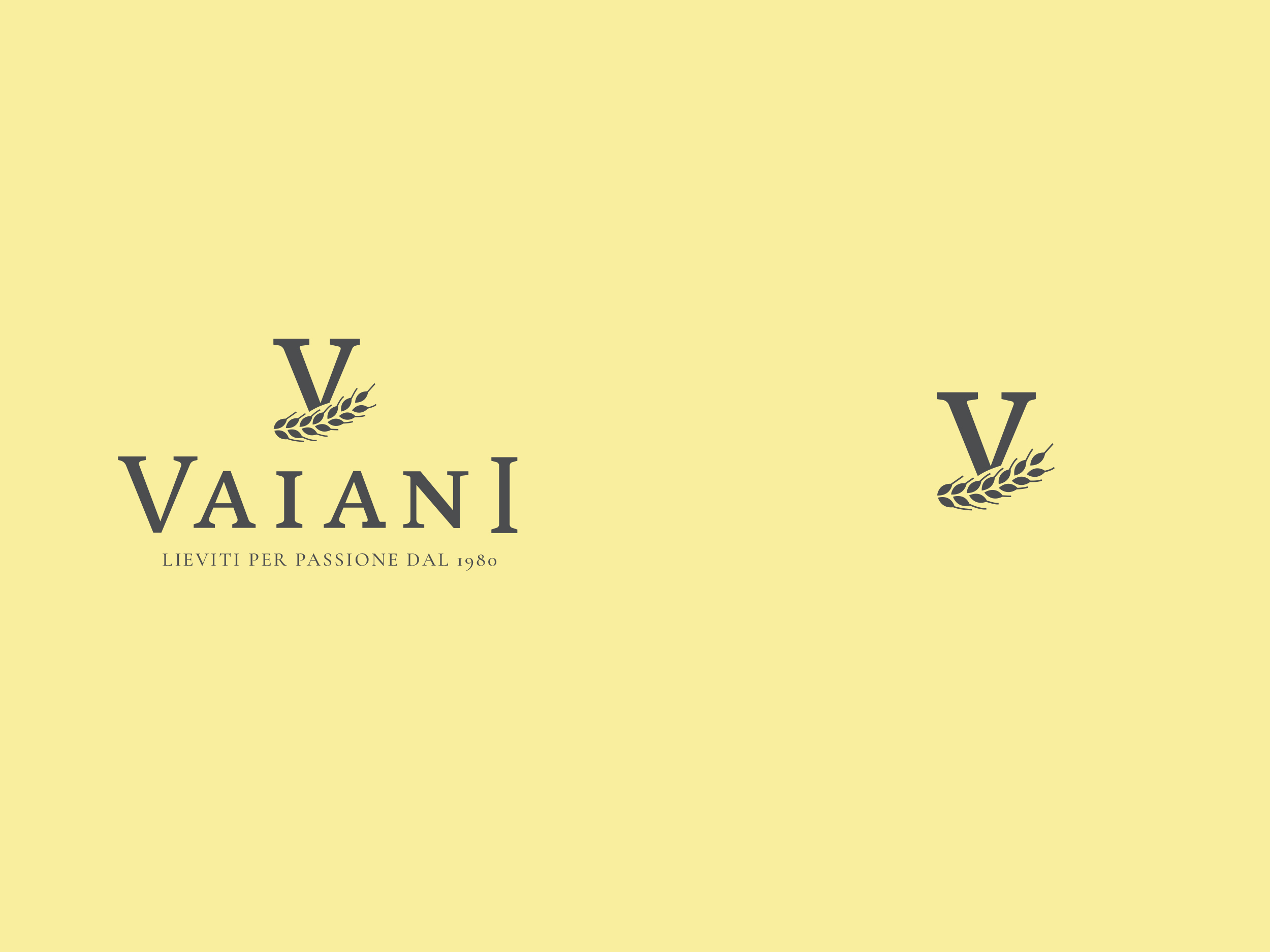 vaiani-logo-02