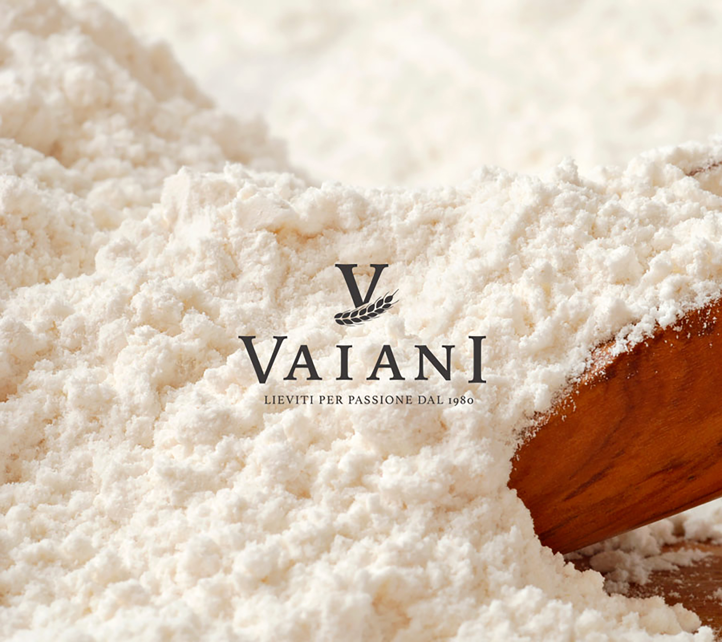 vaiani-logo